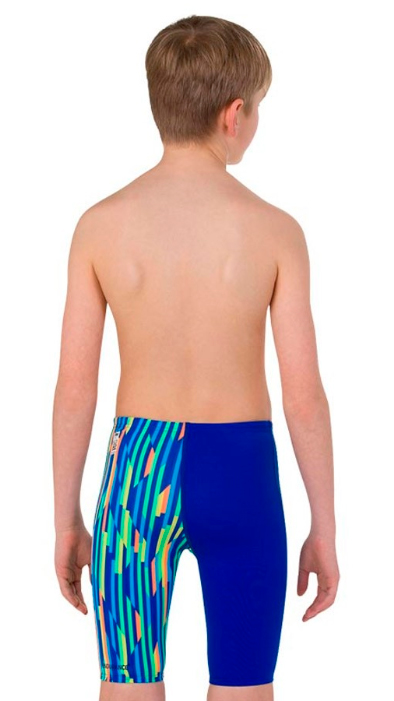 Плавки мужские Speedo Fastskin Endurance+ High Waisted Jammer_1