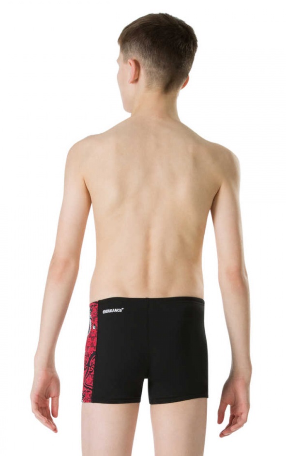 Плавки-шорты Speedo DragonZen Allover Panel Aquashort_2