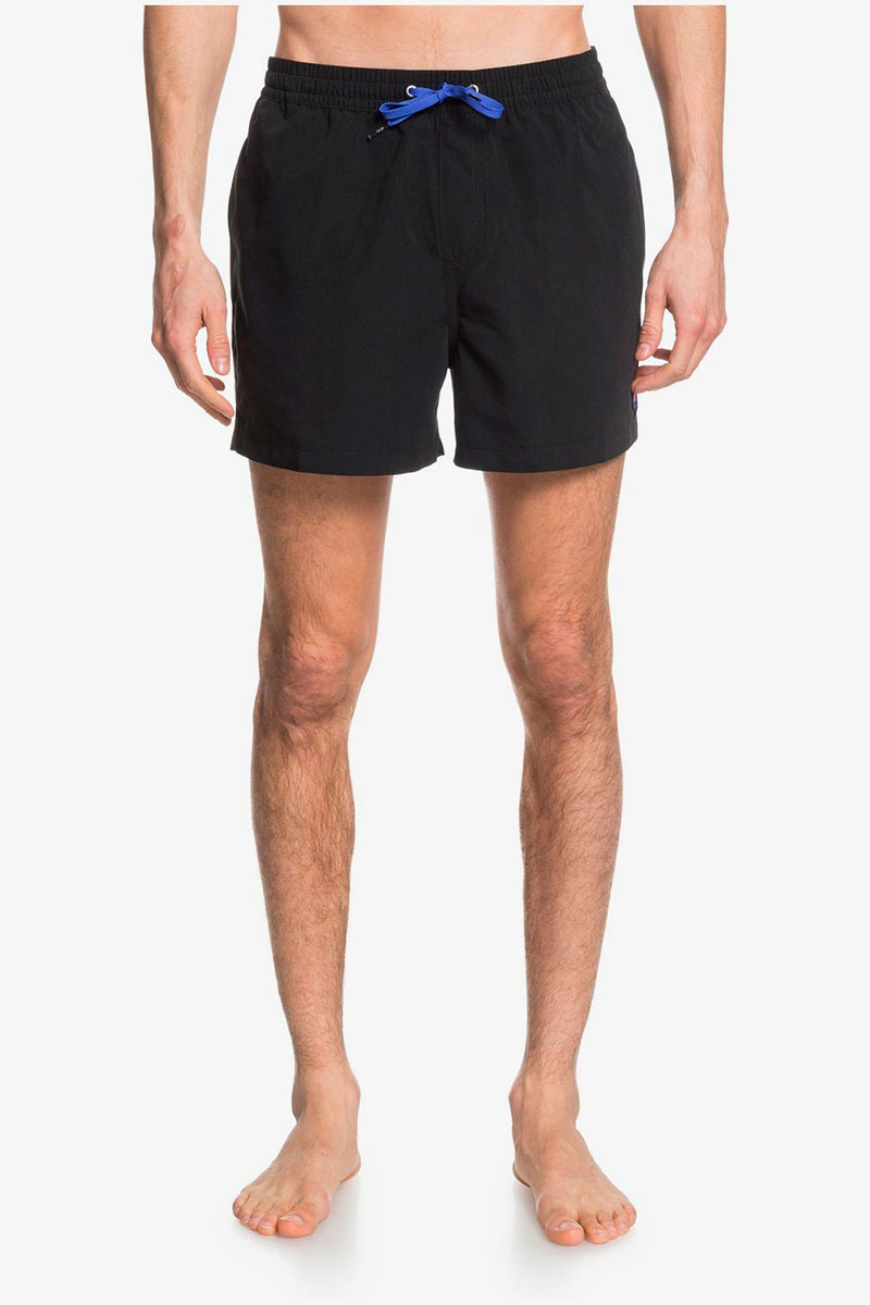 Мужские шорты для плавания Quiksilver Everyday 15