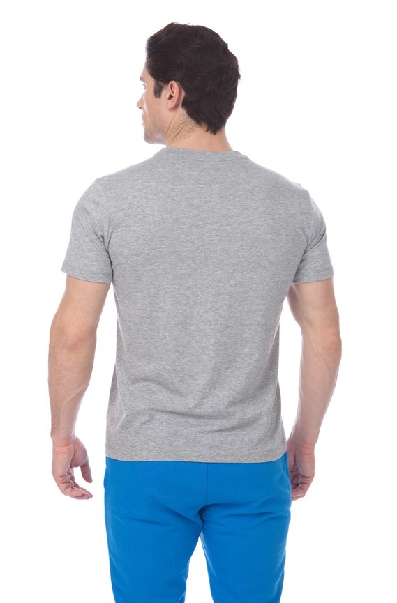 Футболка Arena ESSENTIAL BIG LOGO SS TEE M серый_1