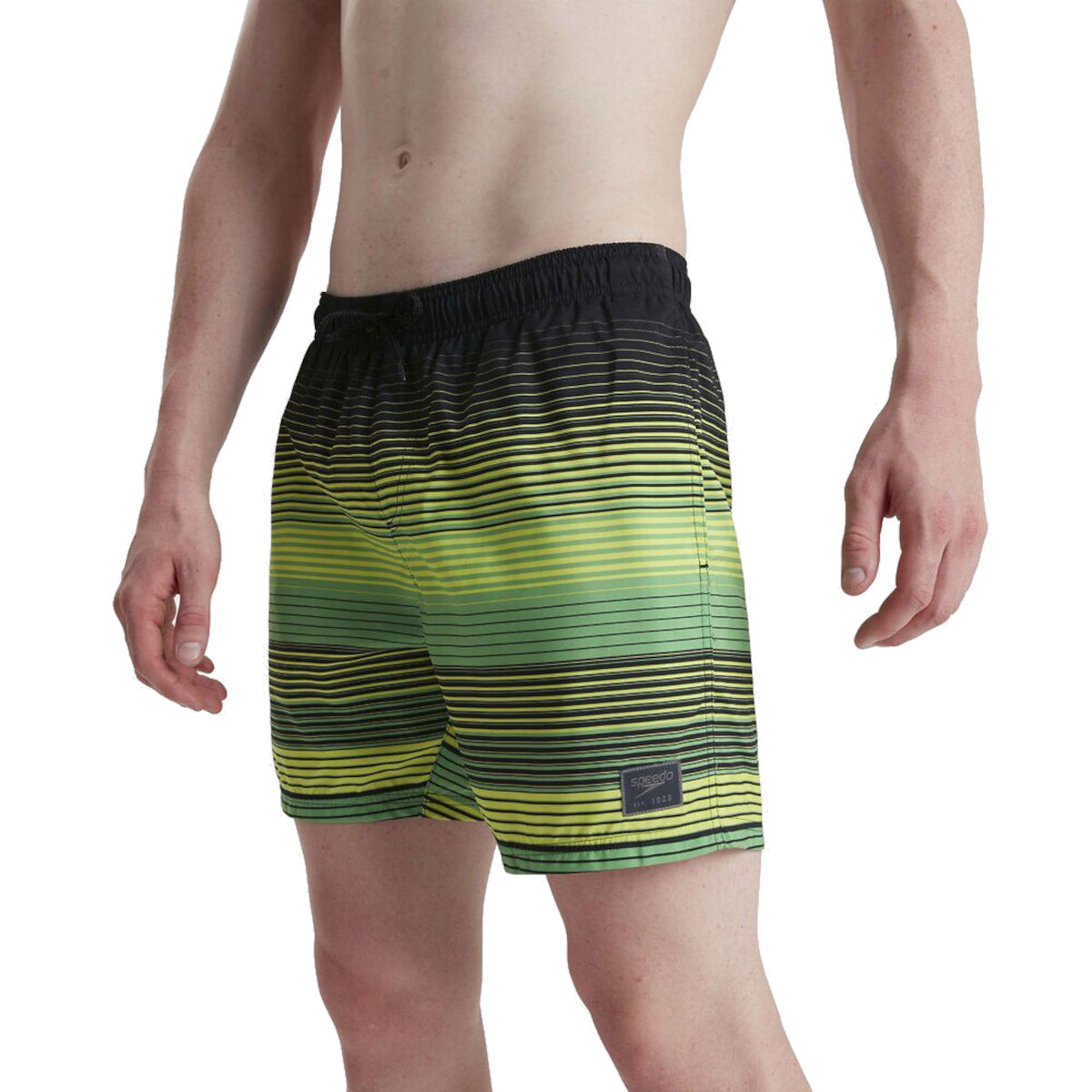 Пляжные шорты SPEEDO Print LEIS 16"