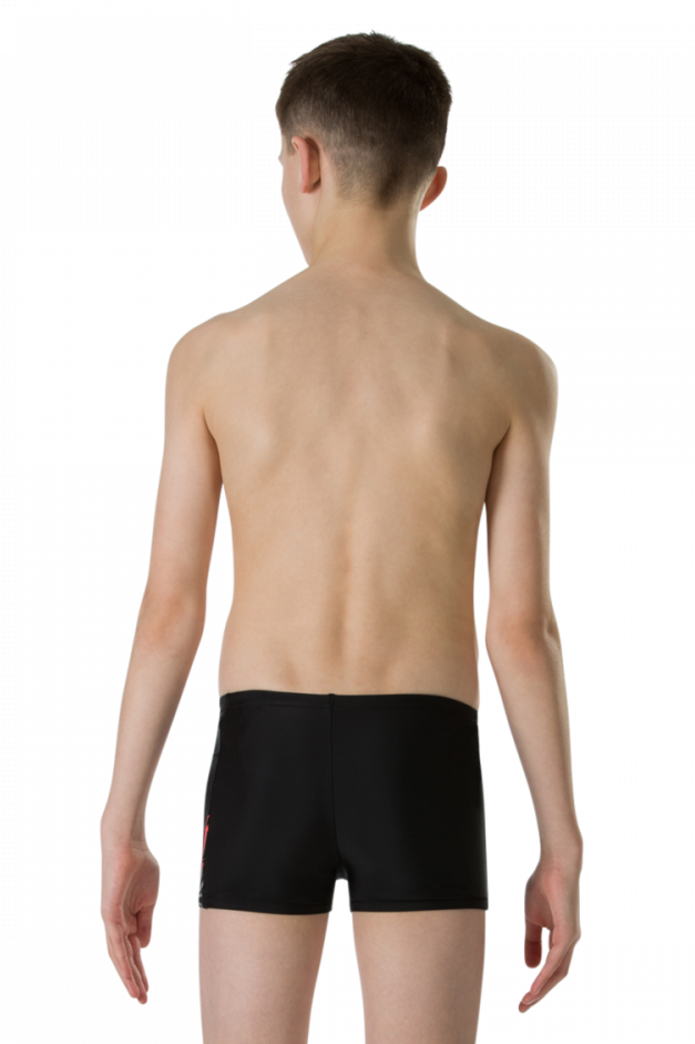 Плавки-шорты Speedo EchoShatter Logo Panel Aquashort_1